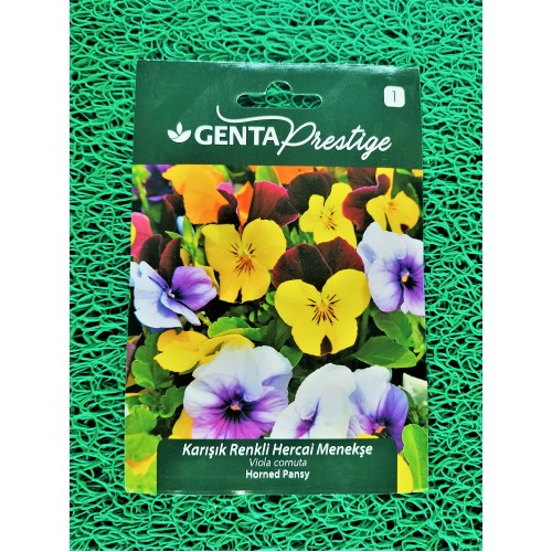 GENTA HERCAİ ALACALI KARIŞIK RENKLİ MENEKŞE